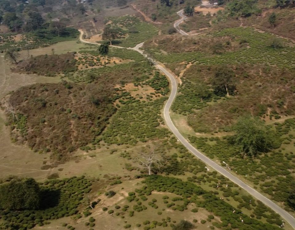 Documentary Video, 22 mins, 2024.